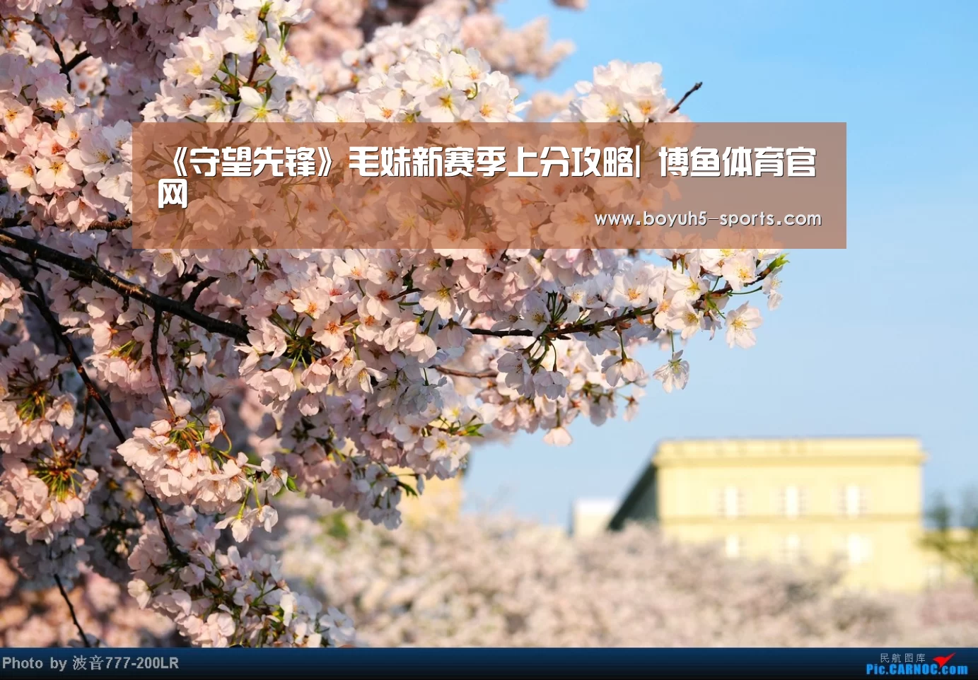 《守望先锋》毛妹新赛季上分攻略| 博鱼体育官网(图1) 博鱼官方网站入口