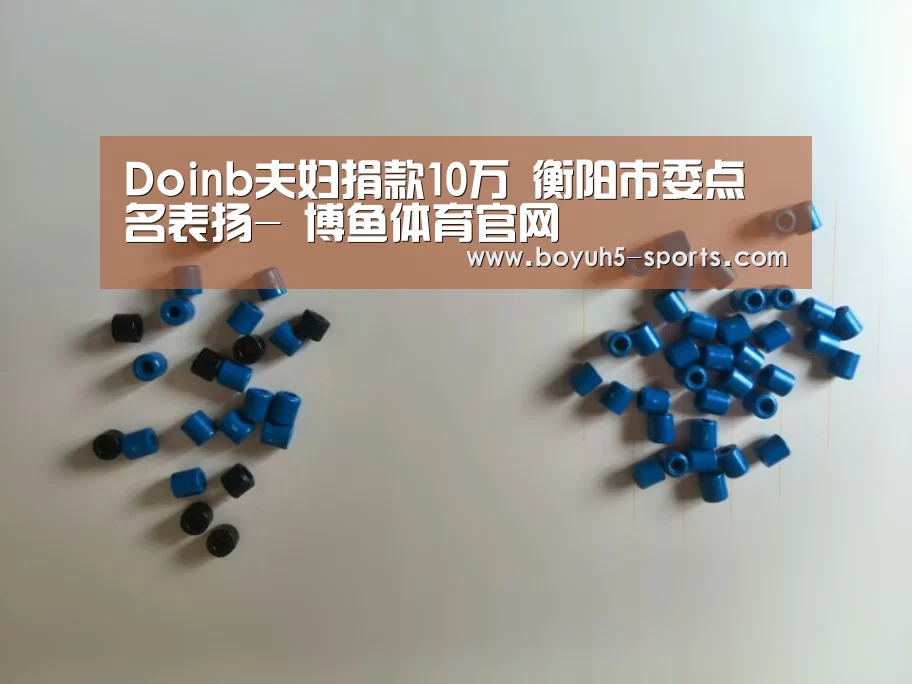 Doinb夫妇捐款10万 衡阳市委点名表扬- 博鱼体育官网(图1) 博鱼官方网站入口