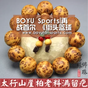 BOYU Sports|再战首尔 《街头篮球》国际大师赛日期公布(图2) BOYU Sports
