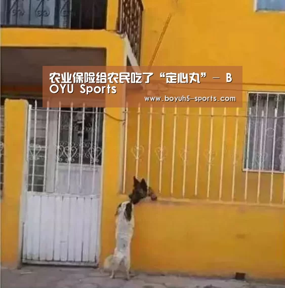 农业保险给农民吃了“定心丸”- BOYU Sports(图3) 博鱼体育平台