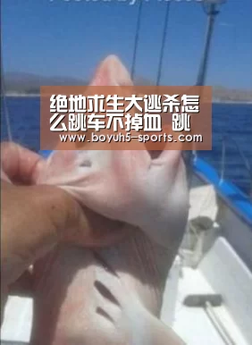 绝地求生大逃杀怎么跳车不掉血 跳车不掉血方法详解: BOYU Sports(图3) 博鱼体育